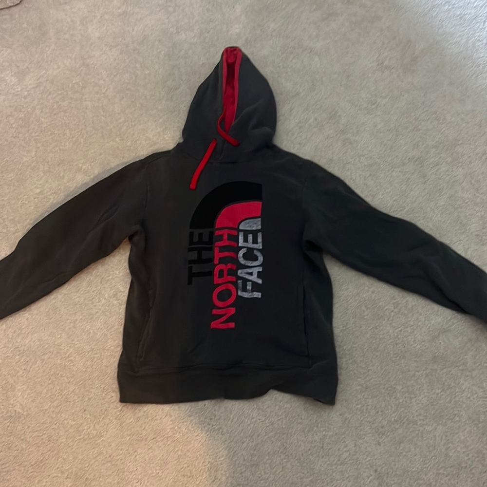 Mens north face hoodie